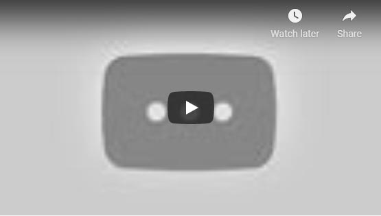 vid-img84